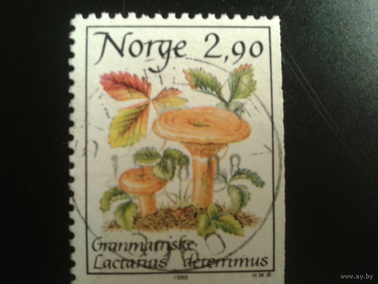Норвегия 1988 рыжик