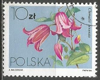 Польша. Цветы. Вьющаяся лиана. 1984г. Mi#2908.