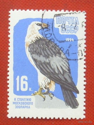 СССР. 100 лет Московскому зоопарку. ( 1 марка ) 1964 года. 8-15.