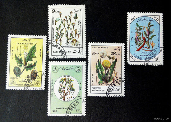 Афганистан 1987 г. Лекарственные растения. Флора, полная серия из 5 марок #0040-Ф2P7