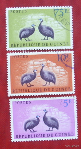 Гвинея. Птицы. ( 3 марки ) 1962 года. 9-1.