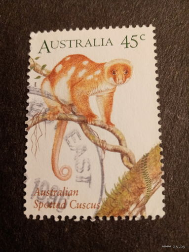 Австралия 1996. Australian Spotted Cuscus