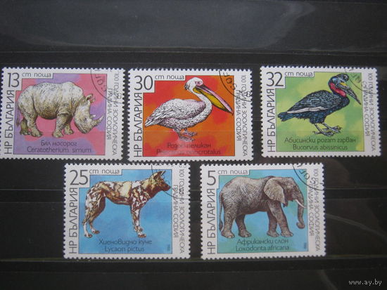 Марки - Болгария 1988 фауна носорог слон гиена птицы пеликан