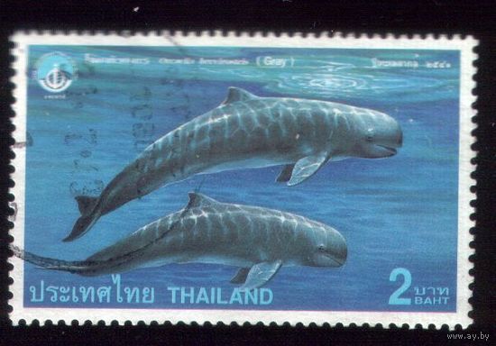 1 марка 1998 год Тайланд 1861