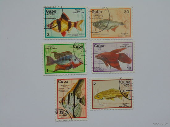 Куба 1977г. Морская фауна.