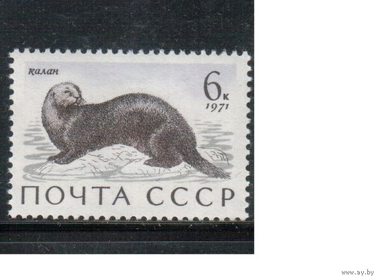 СССР-1971, (Заг.3965) ** , Фауна, Калан,