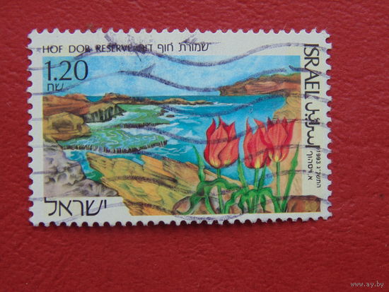 Израиль 1993г. Флора.