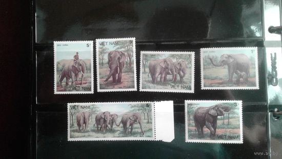 Слоны .1987г.