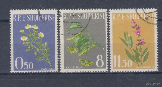 [419] Албания 1962. Флора.Лекарственные растения. Гашеная серия.