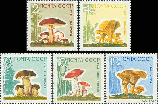 Грибы СССР 1964 год (3123-3127) серия из 5 марок (без лакового покрытия)