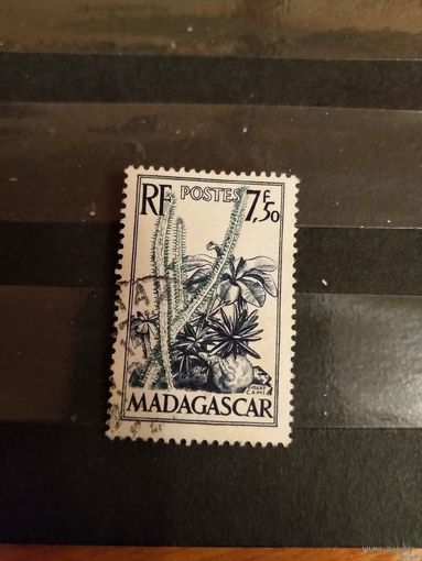 Французская колония Мадагаскар флора кактусы (5-8)