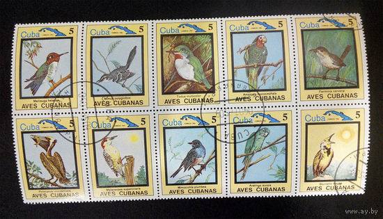 Куба 1983  г. Птицы. Фауна, сцепка из 10 марок #0213-Ф1P48