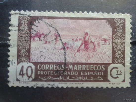 Испанское Марокко, 1944, Урожай пшеницы