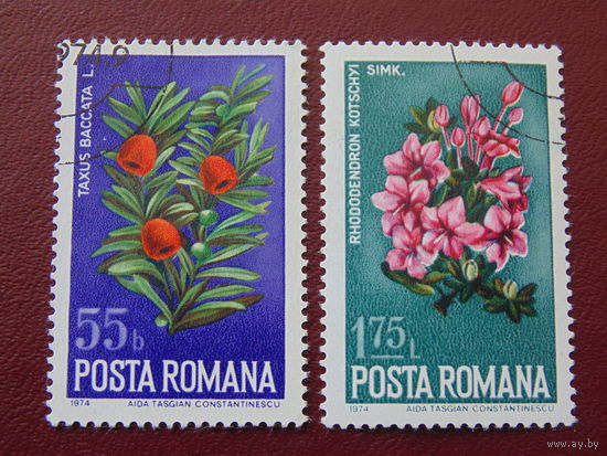 Румыния 1974г. Флора.