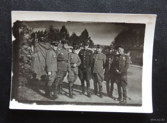 Фото "Группа офицеров", Германия, 1945 г.