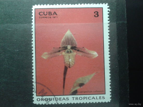 Куба 1971 Тропическая орхидея