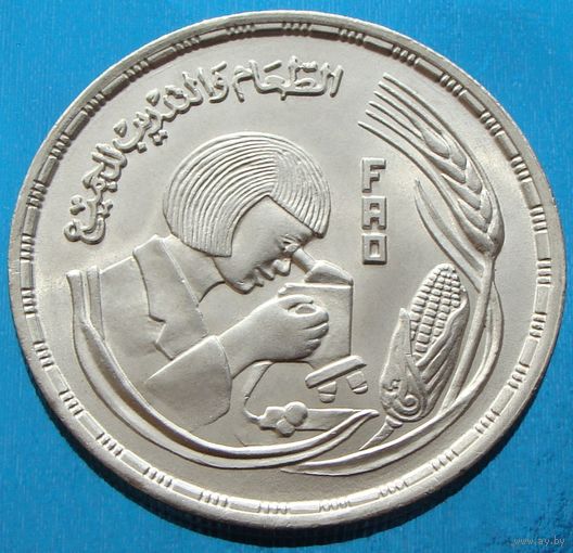 Египет. 1 фунт 1978 года  KM#482  "ФАО - Еда и образование для всех"   Тираж: 50.000 шт