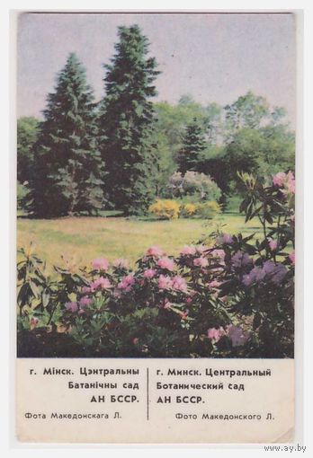 Календарик Минск 1987