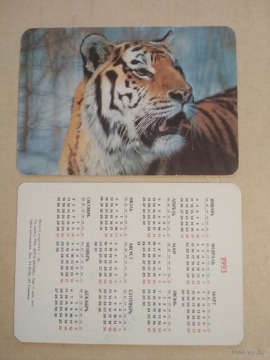 Карманный календарик. Тигр.1993 год