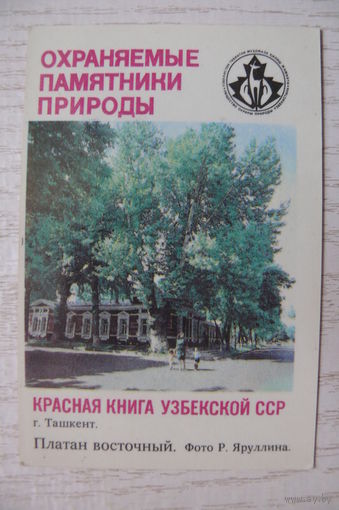 Календарик, 1987, Платан восточный, из серии "Охраняемые памятники природы. Красная книга Узбекской ССР".