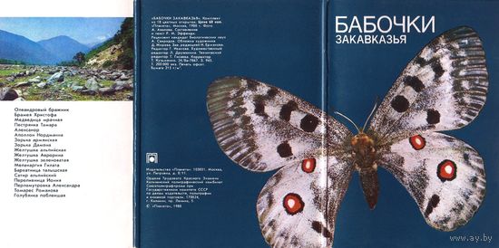 Набор открыток Бабочки Закавказья. 18 штук.1988 год