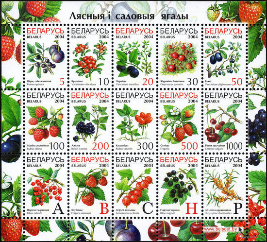 Седьмой стандартный выпуск (9 и 13 февраля) Беларусь 2004 год (538-552) серия из 15 марок в малом листе