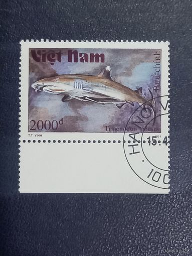Вьетнам. 1991г. Акула
