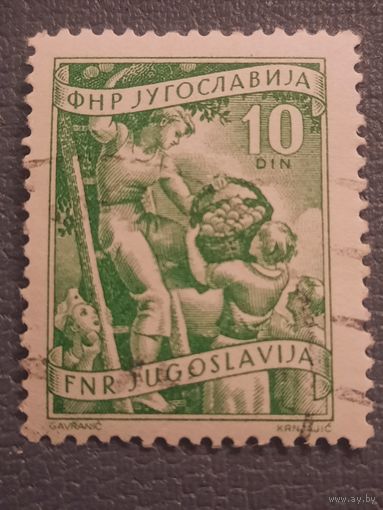 ФНР Югославия 1950. Сборщик яблок
