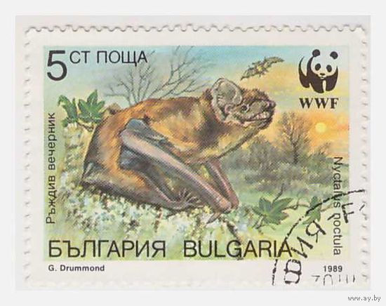 Болгария 1989 Летучие мыши
