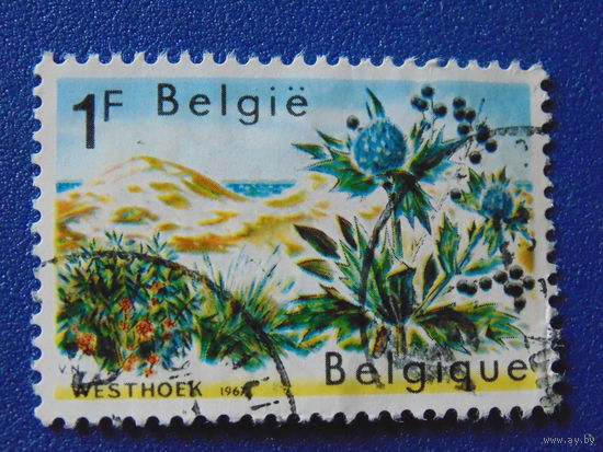 Бельгия 1967 г. Цветы.