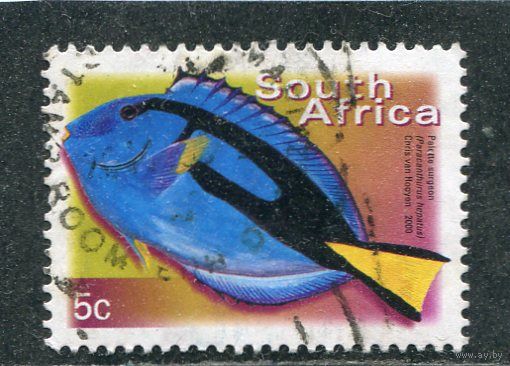 ЮАР. Рыба Голубой хирург