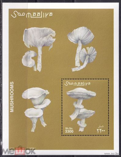 Сомали 2002 г.Флора,грибы    MNH