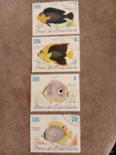 Куба 1985. Рыбы