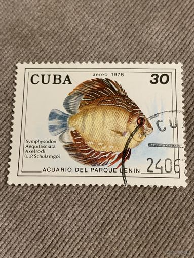 Куба 1978. Рыбы. Symphysodon aequifasciata. Марка из серии
