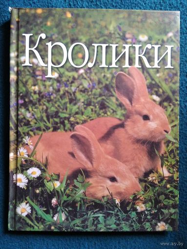 П. Грюн Кролики