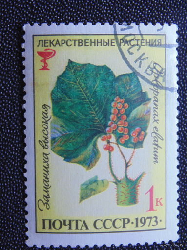 СССР 1973 г. Заманиха высокая.