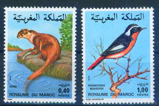 Марокко 1979 фауна птица выдра серия 2м MNH