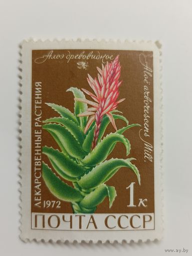 1972 СССР. Лекарственные растения