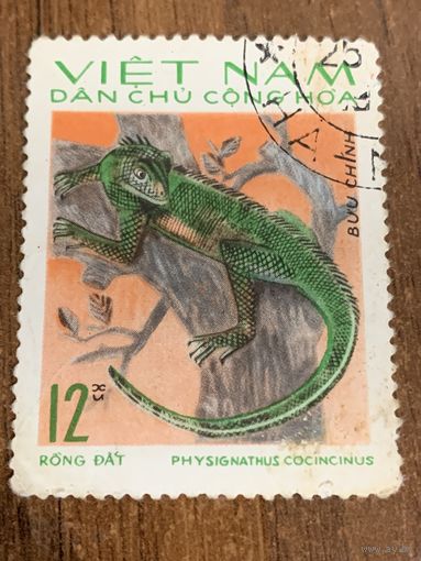 Вьетнам 1976. Рептилии. Physignantus cocincinus. Марка из серии