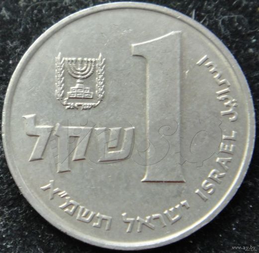 401: 1 шекель 1981 Израиль