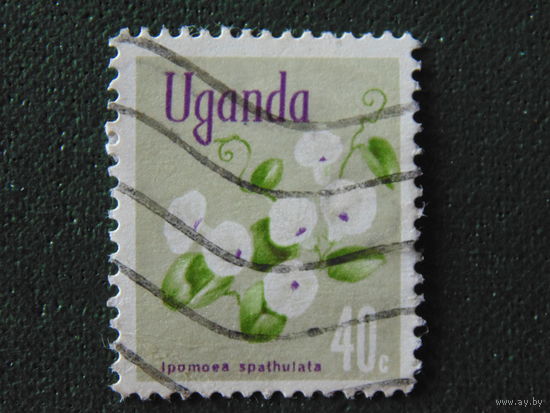Уганда. Флора.