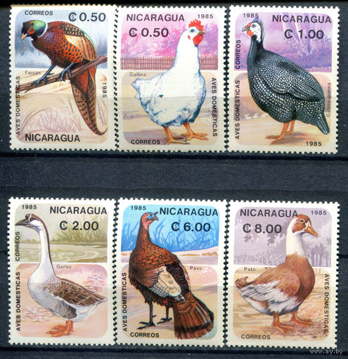 Никарагуа - 1985г. - Птицы - полная серия, MNH, одна марка с отпечатком [Mi 2599-2604] - 6 марок