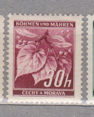 Германия рейх  Богемия и Моравия Местные мотивы 1939 г флора    лот 6