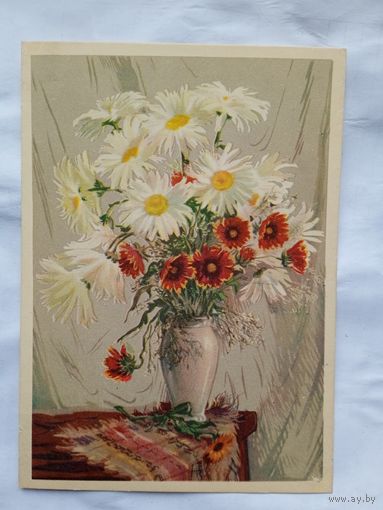1957. цветы. Голяховский. Ромашки