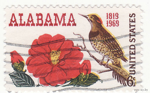 Фауна птица 1969 год