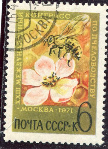 СССР 1971.. Конгресс по пчеловодству