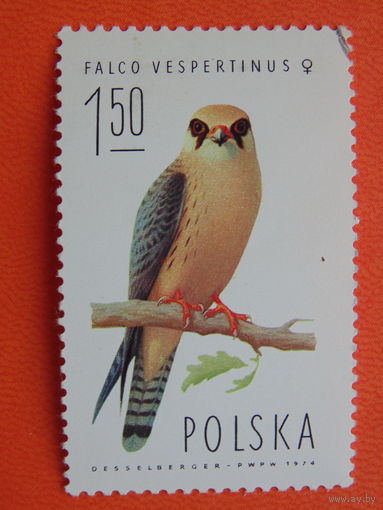 Польша 1974г.  Птицы.
