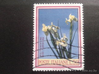 Италия 1967 цветы