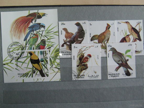 Марки - фауна, Шарджа, птицы, блок и 5 марок