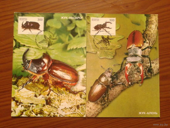 Беларусь 2001  жуки картмаксимум
